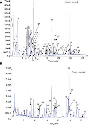 Metabolomic Analysis Identifies Glycometabolism Pathways as Potential Targets of Qianggan Extract in Hyperglycemia Rats